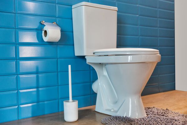 Toilet Tank Repair in Sherman